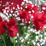 Why Sydney Residents Trust Professional Flower Delivery Services for Every Occasion