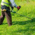 Green Waste Removal Near Me: Quick and Reliable Yard Cleanup Services